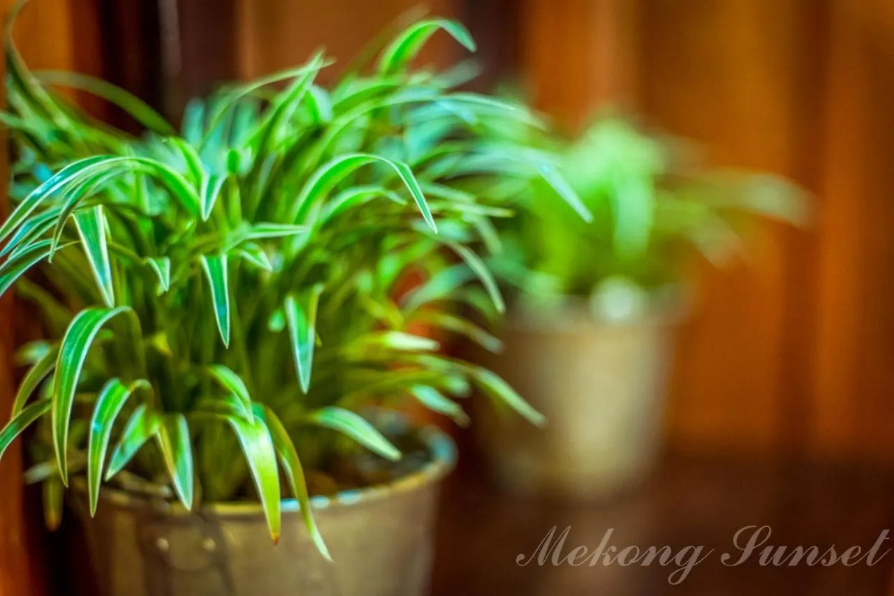 Mekong Sunset Guesthouse Λουάνγκ Πραμπάνγκ 3*,